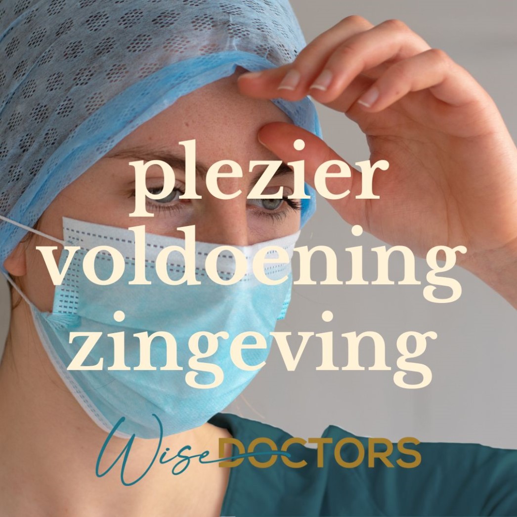 Plezier, voldoening & zingeving (2)