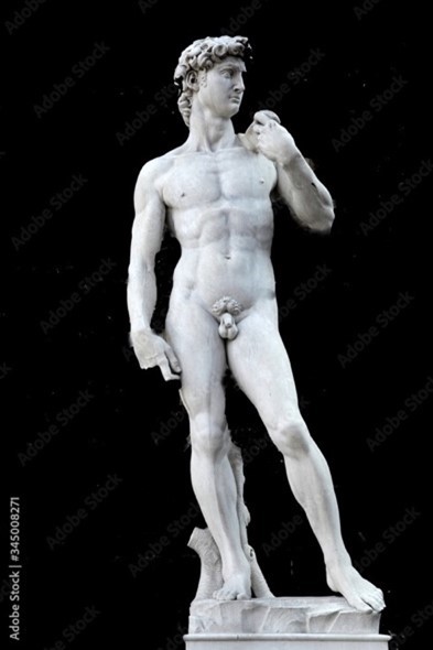 David