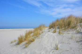 vrouweneiland