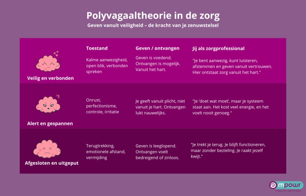 Polyvagaaltheorie in de zorg (2)