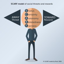cq_scarf_model